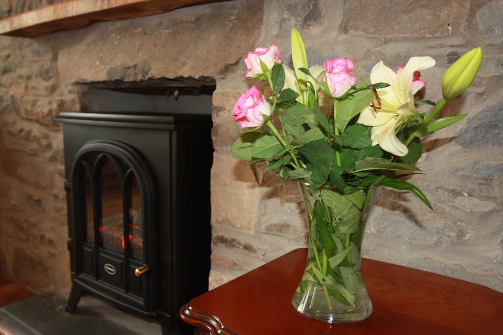 Cob Cottage Tregaron Buitenkant foto